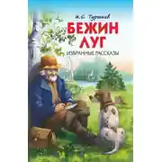 Постер книги Бежин луг. Избранные рассказы