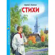 Постер книги Стихи