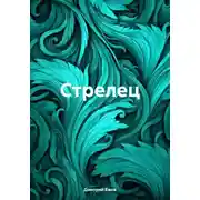 Постер книги Стрелец