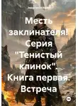 Зеркальный Вихрь - Месть заклинателя! Серия «Тенистый клинок». Книга первая. Встреча