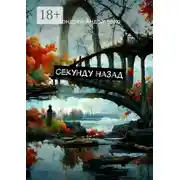 Постер книги Секунду назад
