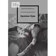 Постер книги Граница бури
