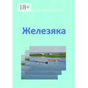 Постер книги Железяка