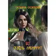 Постер книги Бег сквозь лабиринт