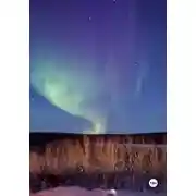 Постер книги Земля после апокалипсиса