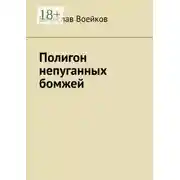 Постер книги Полигон непуганных бомжей
