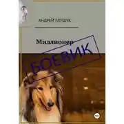 Постер книги Миллионер