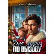 Постер книги Дед Мороз по вызову