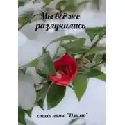 Постер книги Мы всё же разлучились. Стихи лито «Олимп»