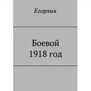 Постер книги Боевой 1918 год