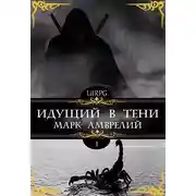 Постер книги Идущий в тени