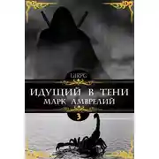 Постер книги Идущий в тени 3