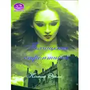 Постер книги Похищение строптивой