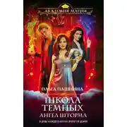 Постер книги Ангел шторма