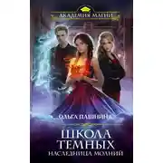 Постер книги Наследница молний