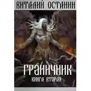 Постер книги Граничник-2