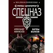 Постер книги Битвы волков