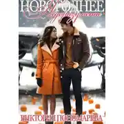 Постер книги Новогоднее недоразумение