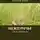 Алексей Зотов - Междуречье. Стихи и рассказы
