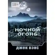 Постер книги Ночной Огонь
