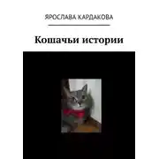 Постер книги Кошачьи истории