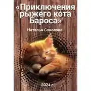 Постер книги Приключения рыжего кота Бароса