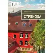 Постер книги Стрекоза