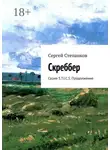 Сергей Степанков - Скреббер. Серия S.T.I.C.S. Продолжение