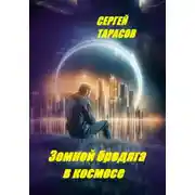 Постер книги Земной бродяга в космосе