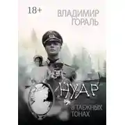 Постер книги Нуар в таёжных тонах