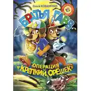 Постер книги Братья Гавв. Операция «Крепкий орешек»