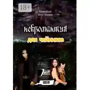 Постер книги Некромантия для чайников