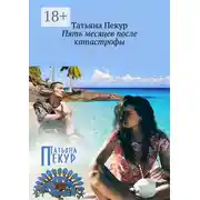 Постер книги Пять месяцев после катастрофы