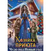 Постер книги Хозяйка приюта. Чудо под Новый год