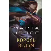 Постер книги Король ведьм