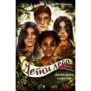 Постер книги Двенадцать секретов