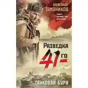 Постер книги Танковая буря