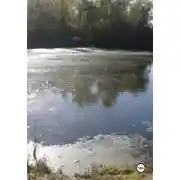 Постер книги Кровавая голова