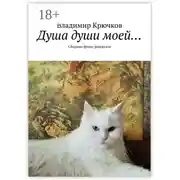 Постер книги Душа души моей… Сборник флэш-рассказов