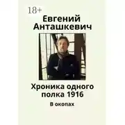 Постер книги Хроника одного полка 1916. В окопах