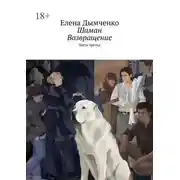 Постер книги Шаман. Возвращение. Часть третья