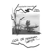 Постер книги Сон об уходящей натуре. Поэма-аллюзия