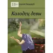Постер книги Колодец девы