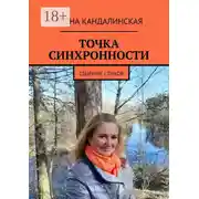 Постер книги Точка синхронности. Сборник стихов