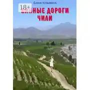 Постер книги Винные дороги Чили