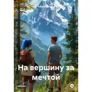 Постер книги На вершину за мечтой