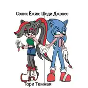 Постер книги Соник Ёжик: Шеди Джонес