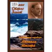 Постер книги Поэтические переводы