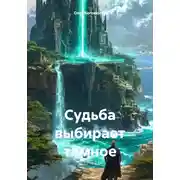Постер книги Судьба выбирает тёмное