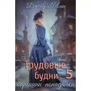 Постер книги Трудовые будни барышни-попаданки 5